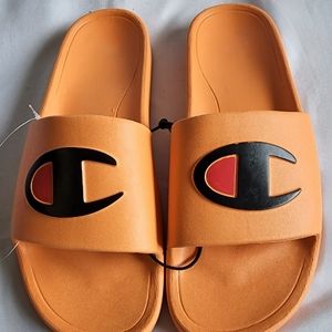 CHAMPION SLIDES